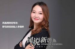 3分钟教程!白银公司简介_哔哩哔哩-2